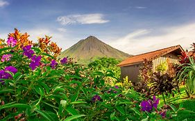 Arenal Bungalows