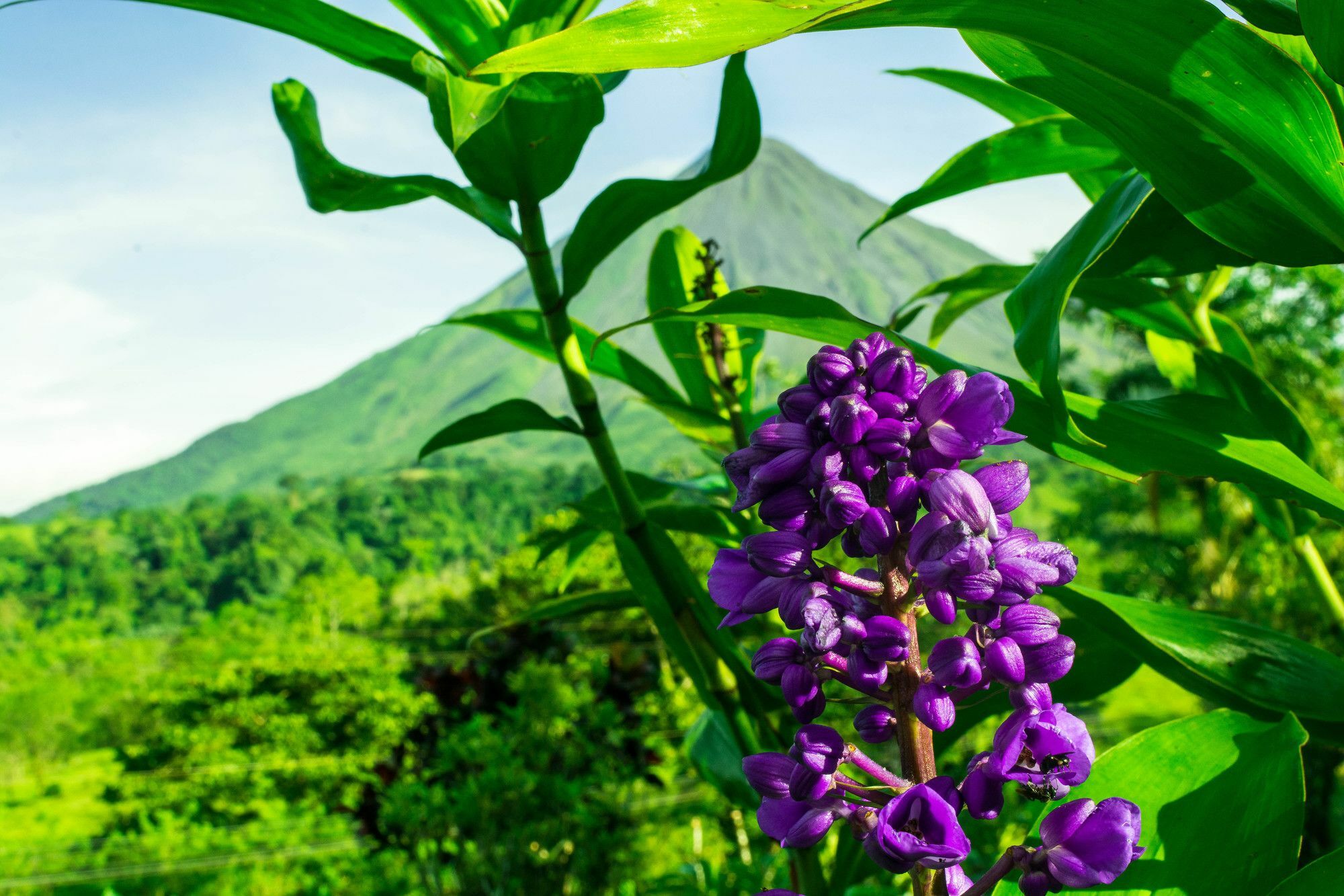 Arenal Bungalows La Fortuna Exterior photo
